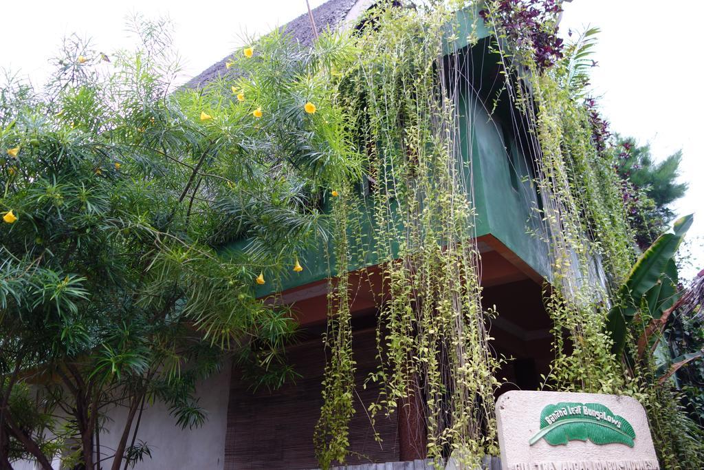 Banana Leaf Bungalow Gili Trawangan Extérieur photo
