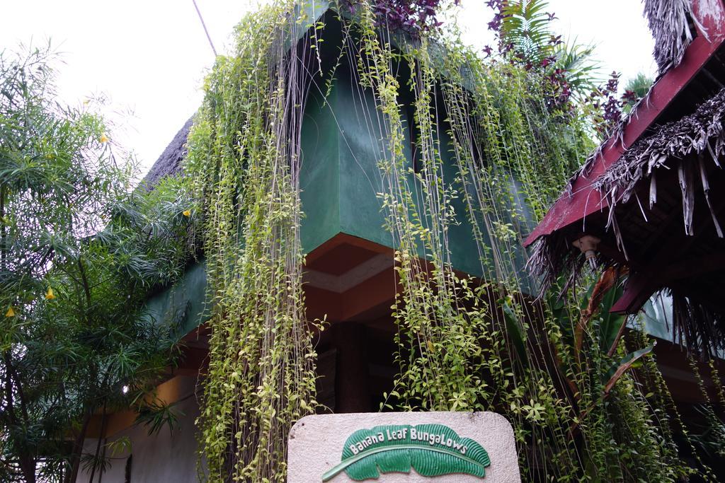Banana Leaf Bungalow Gili Trawangan Extérieur photo