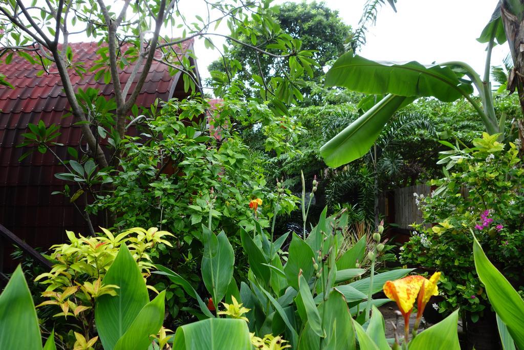 Banana Leaf Bungalow Gili Trawangan Extérieur photo
